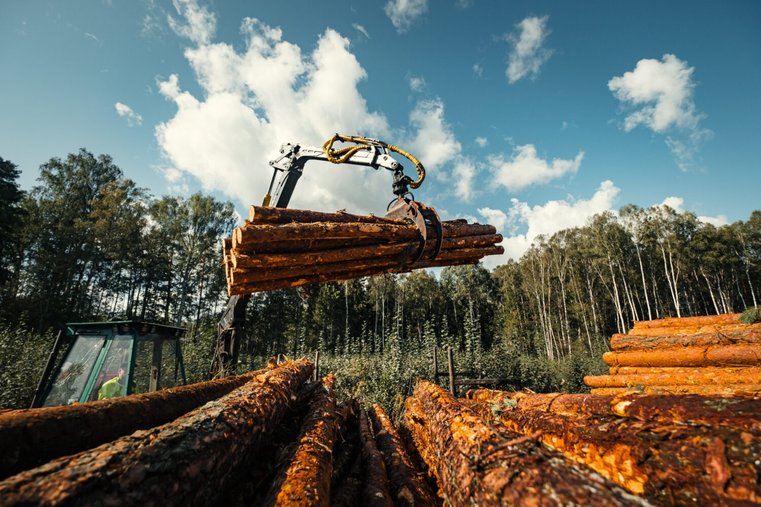 Forestry image of a forwarder loading logs